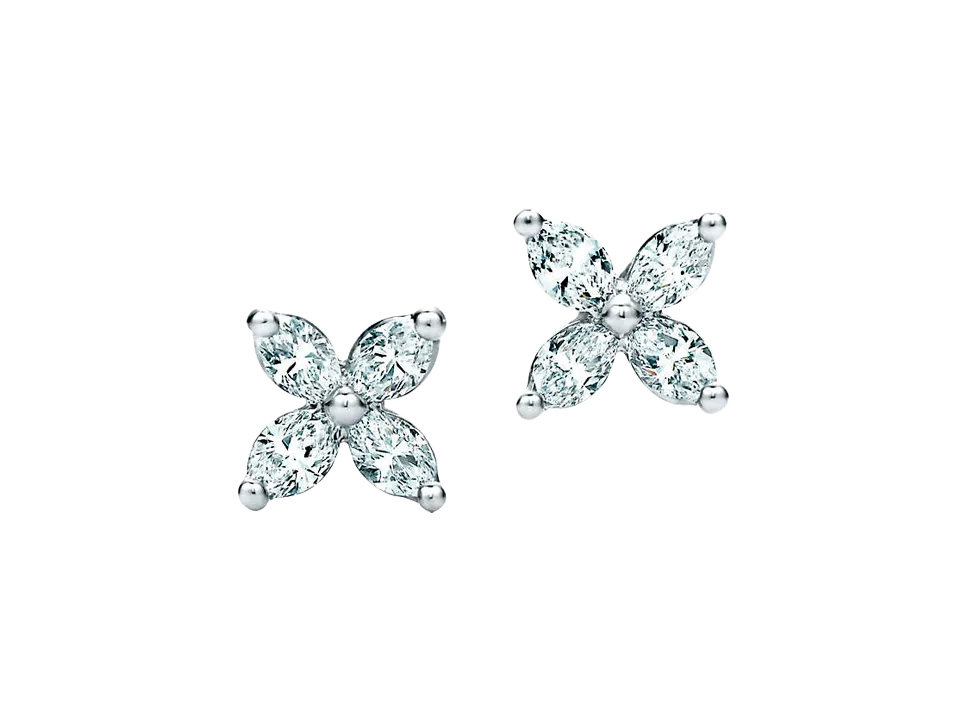 EAR PINS